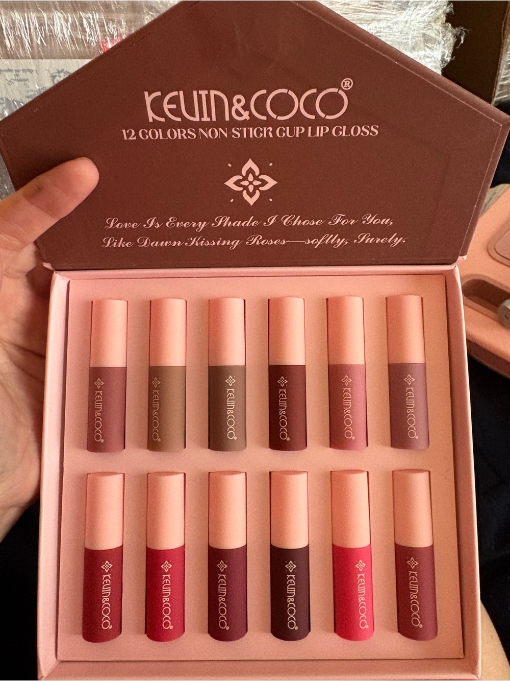 Kevin & Coco 12-Color Pink & Nude Lip Gloss Set